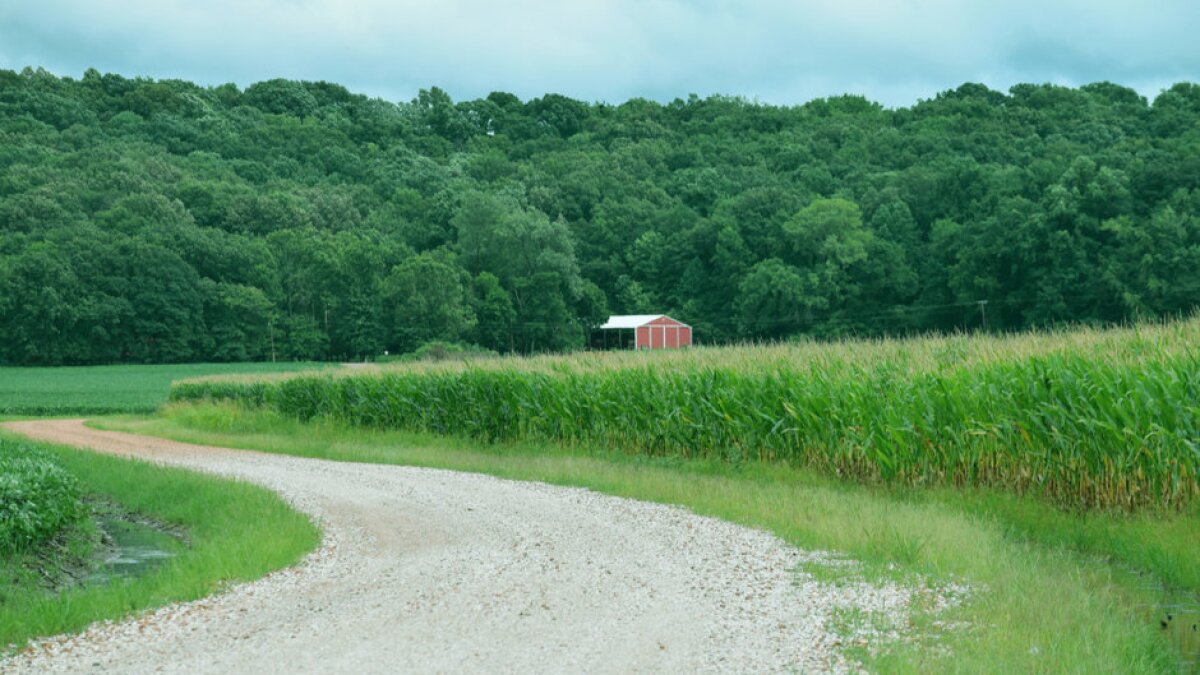 Why Some Rural Communities Lack High-Speed Internet