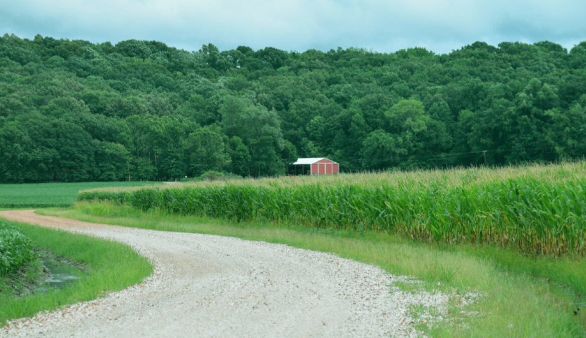 Why Some Rural Communities Lack High-Speed Internet